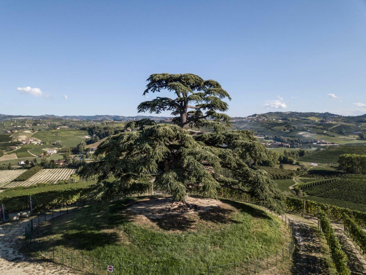 Agrisuite Il Cedro La Morra Exterior photo